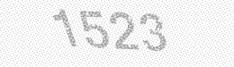 Visual security code — type the characters shown in the image
