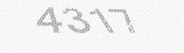 Visual security code — type the characters shown in the image